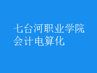 會計(jì)電算化