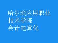 會計(jì)電算化