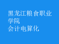 會計(jì)電算化
