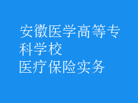 醫(yī)療保險實務(wù)