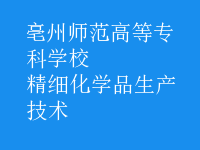 精細化學品生產(chǎn)技術(shù)