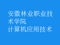 計算機應(yīng)用技術(shù)