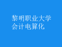 會計電算化