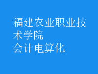 會計電算化
