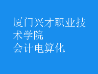 會計電算化