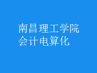 會計(jì)電算化