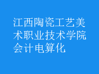 會計(jì)電算化