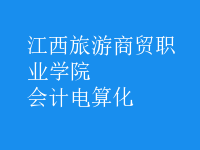 會計(jì)電算化