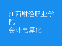 會計(jì)電算化