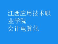 會計(jì)電算化