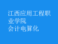 會計(jì)電算化