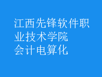 會計(jì)電算化