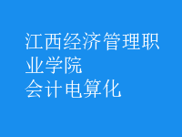 會計(jì)電算化