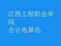 會計(jì)電算化
