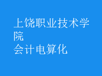 會計(jì)電算化