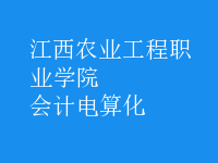 會計(jì)電算化