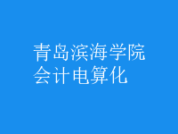 會計(jì)電算化