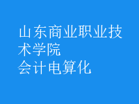 會計(jì)電算化