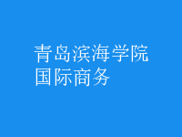 國際商務(wù)