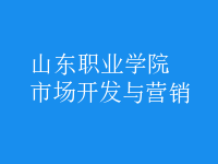 市場(chǎng)開(kāi)發(fā)與營(yíng)銷(xiāo)