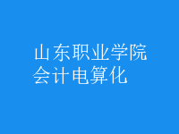 會計(jì)電算化