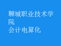 會計(jì)電算化