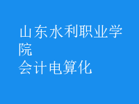 會計(jì)電算化