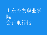 會計(jì)電算化