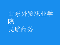 民航商務