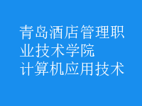 計算機應用技術