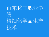 精細(xì)化學(xué)品生產(chǎn)技術(shù)