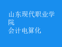 會計(jì)電算化