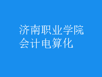 會計(jì)電算化