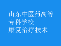 康復治療技術(shù)