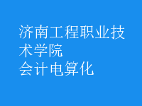會計(jì)電算化