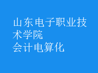 會計(jì)電算化