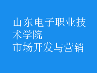 市場(chǎng)開(kāi)發(fā)與營(yíng)銷(xiāo)