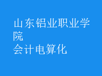 會計(jì)電算化