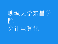 會計(jì)電算化