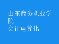 會計(jì)電算化