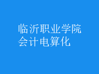 會計(jì)電算化