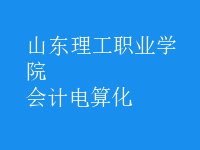 會計(jì)電算化