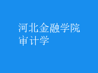審計學(xué)