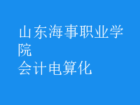 會計(jì)電算化