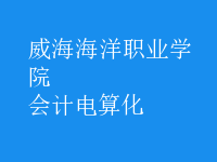 會計(jì)電算化