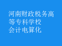 會計電算化