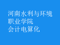 會計電算化
