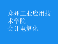 會計電算化