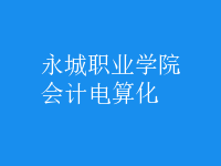 會計電算化