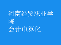 會計電算化